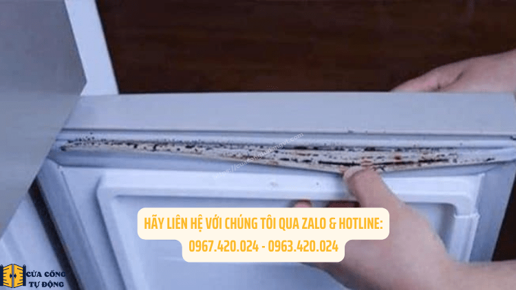 0967420024 - Thay gioăng tủ lạnh tại nhà Vũng Tàu